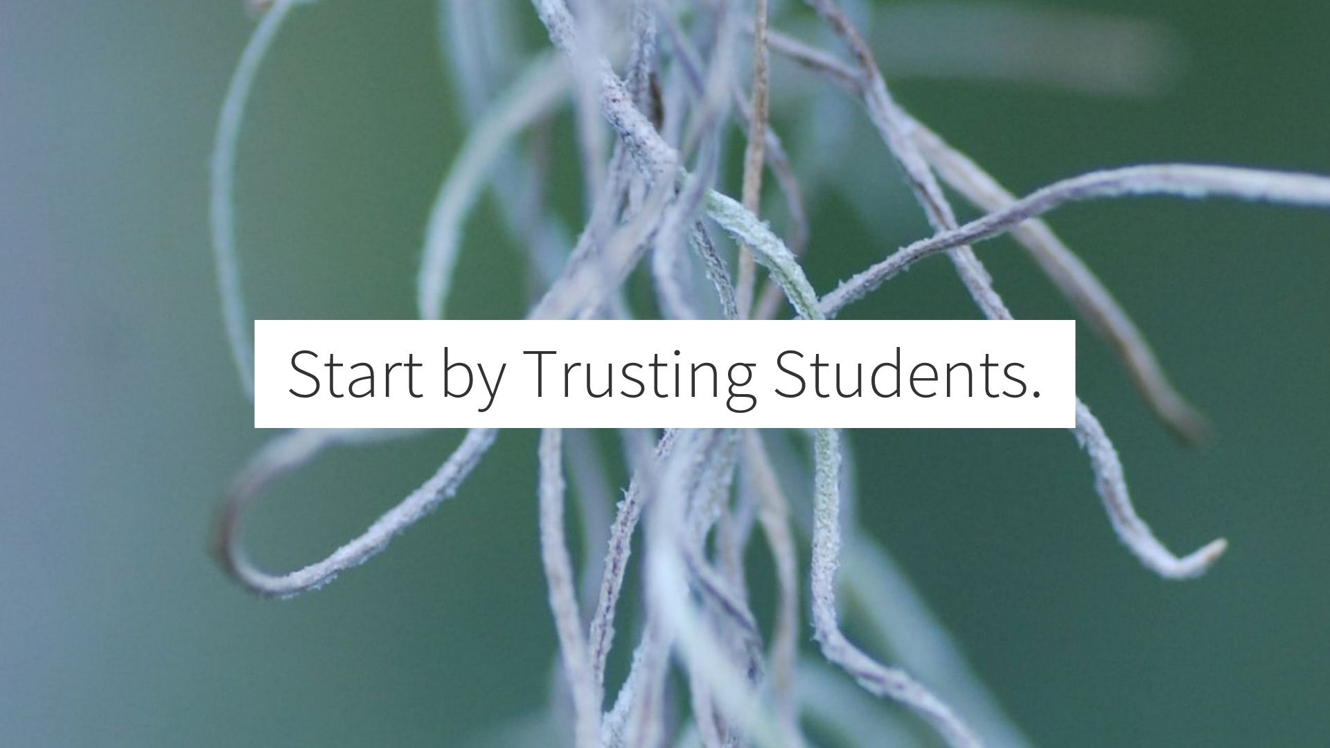 Start by Trusting Students w/ a sprig behind the words.